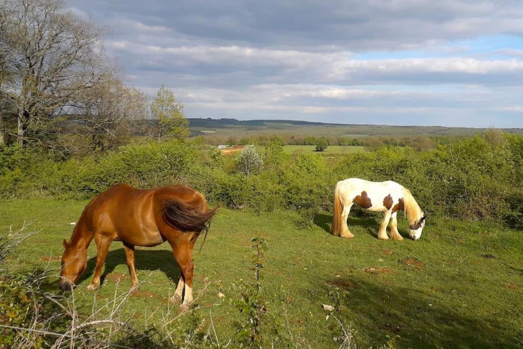 Maison De Bois En Pleine Nature A 20 Min De Beaune Montceau-et-Echarnant Exteriér fotografie