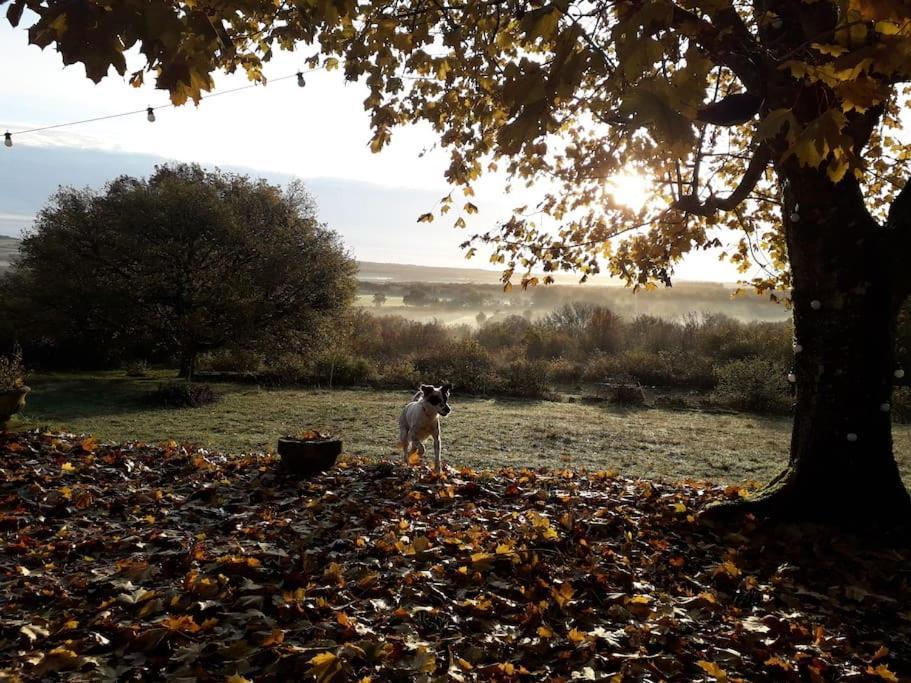 Maison De Bois En Pleine Nature A 20 Min De Beaune Montceau-et-Echarnant Exteriér fotografie