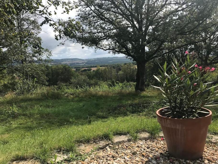 Maison De Bois En Pleine Nature A 20 Min De Beaune Montceau-et-Echarnant Exteriér fotografie